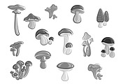 Mushrooms edible champignons, morel vector icons