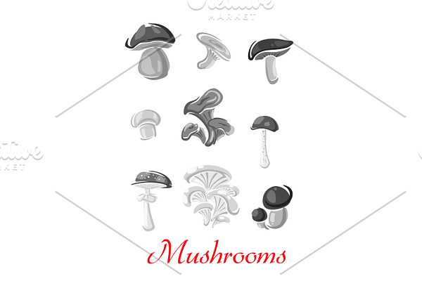 Mushrooms champignon, chanterelle vector icons