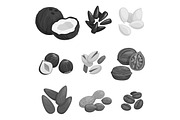 Nuts, grain and nut seeds vector icons