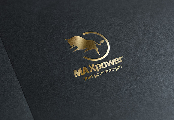 Max Power Logo Template in Logo Templates - product preview 5
