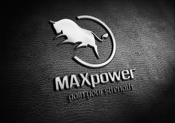 Max Power Logo Template in Logo Templates - product preview 8