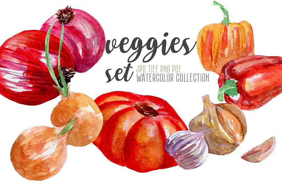 Watercolor veggies  in Illustrations - product preview 8