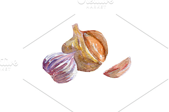 Watercolor veggies  in Illustrations - product preview 2