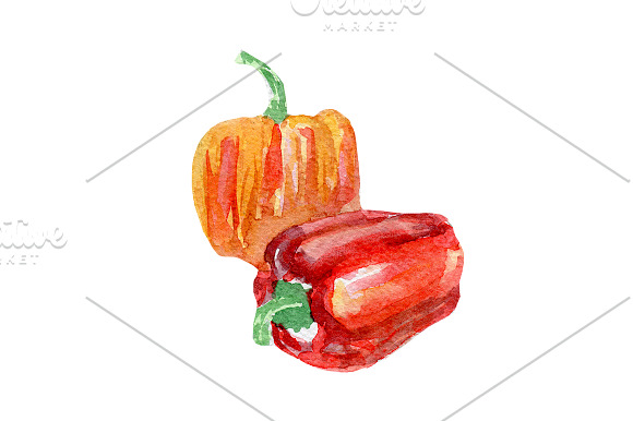 Watercolor veggies  in Illustrations - product preview 3