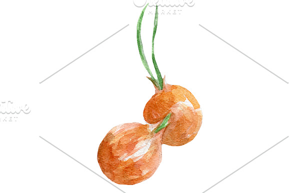 Watercolor veggies  in Illustrations - product preview 4
