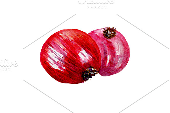 Watercolor veggies  in Illustrations - product preview 5