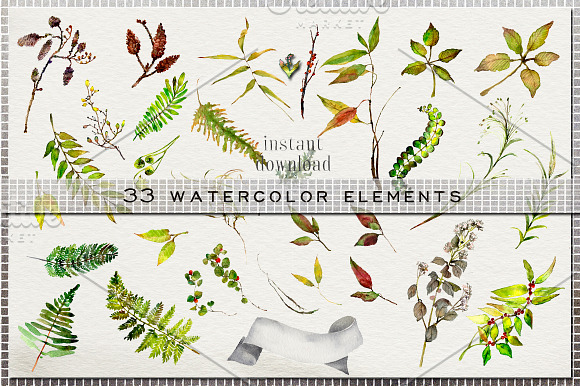Woodland Fern Watercolor Clip Art in Illustrations - product preview 2