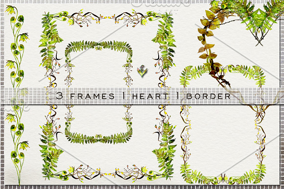 Woodland Fern Watercolor Clip Art in Illustrations - product preview 4