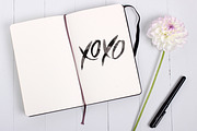 XOXO custom hand-lettering