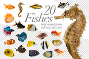 20 Fishes Cut-out High Res Pictures