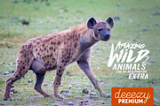 Amazing Wild Animals 2 Extra