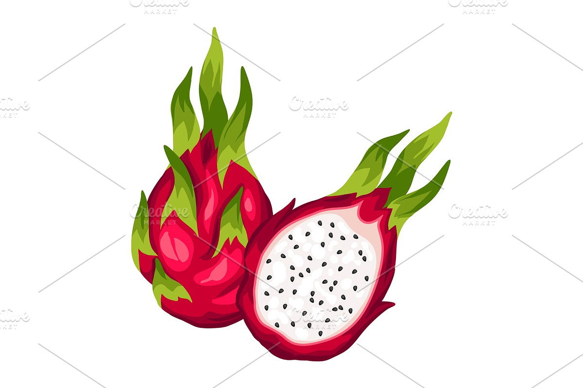 Dragon fruit isolated on white background. Illustration of tropical plant in Objects - product preview 8