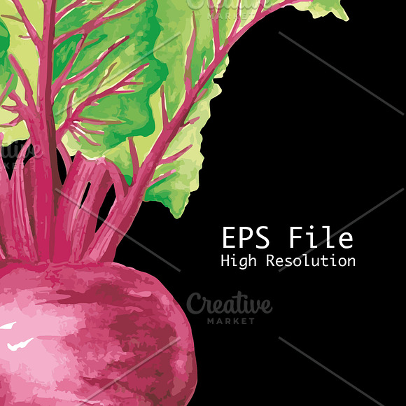 Vegetables Watercolor Illustration in Illustrations - product preview 4