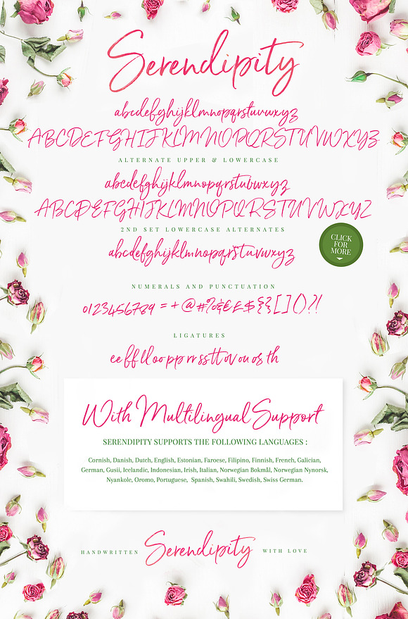 Serendipity Handwritten Font in Website Fonts - product preview 11