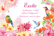 set of exotic flowers and birds