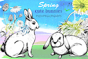 Spring cute bunnies