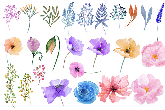 Watercolor flowers clipart in Illustrations - product preview 1