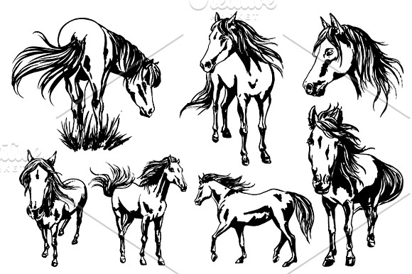 Painted horses collection in Illustrations - product preview 1