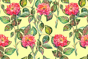 Watercolor rose seamless pattern