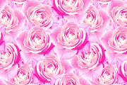 Watercolor rose seamless pattern