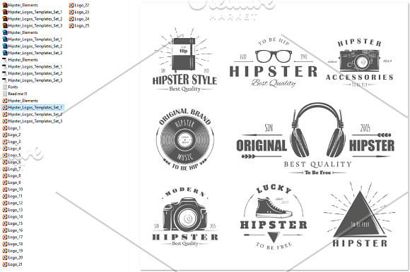 25 Hipster Logos Templates in Logo Templates - product preview 5