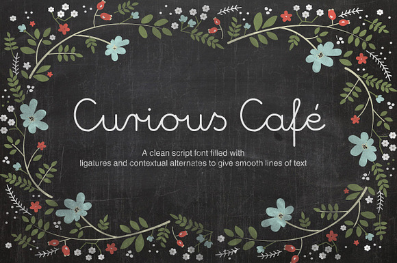 Curious Cafe Script in Script Fonts - product preview 3