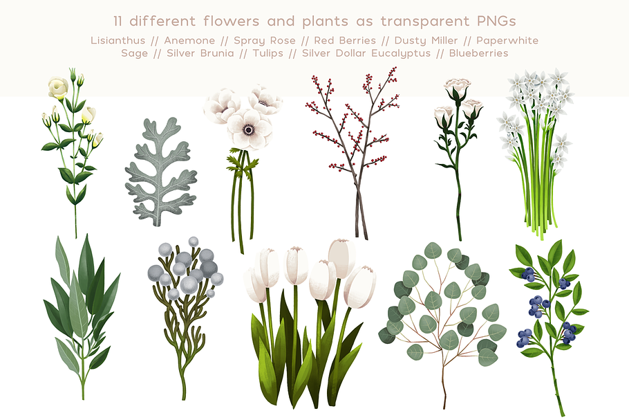 White Flowers in Illustrations - product preview 8
