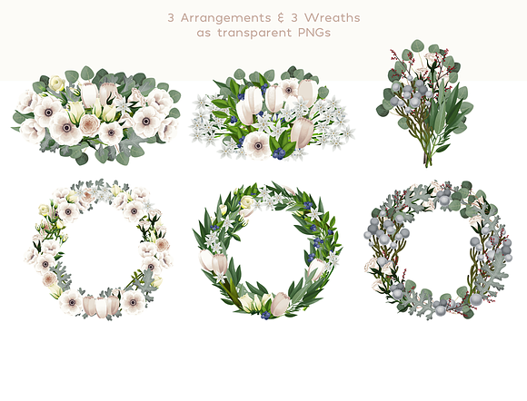 White Flowers in Illustrations - product preview 1