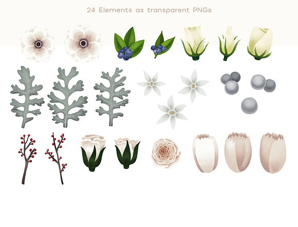 White Flowers in Illustrations - product preview 2