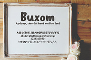 Buxom Font