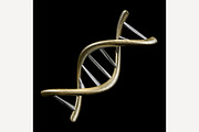 Fragment of human DNA