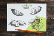 Cucumber hand drawn vector sketches