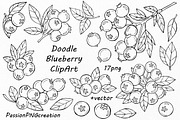 Doodle blueberry clipart