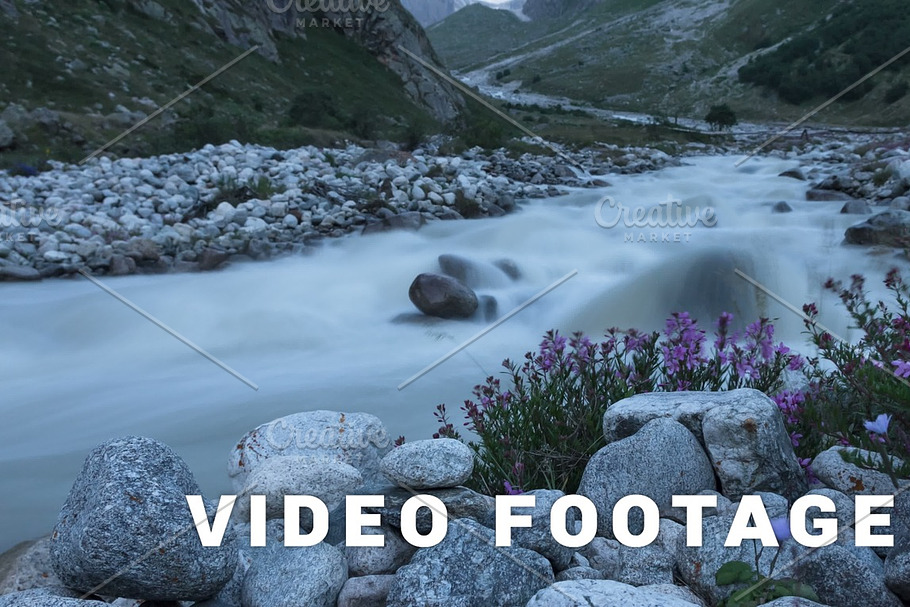 Mountain river and flowers. Time-lapse