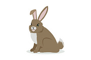 Hare Cartoon Vector Illustration in Flat Design