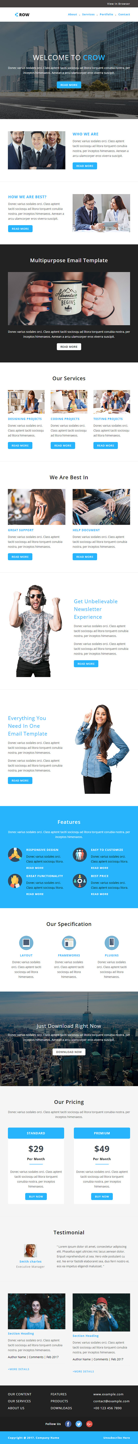 CROW - Responsive Email Template in Mailchimp Templates - product preview 1