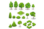 Isometric vector trees elements for landscape design. 