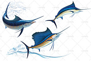 Blue Marlin and Sailfish (3x)