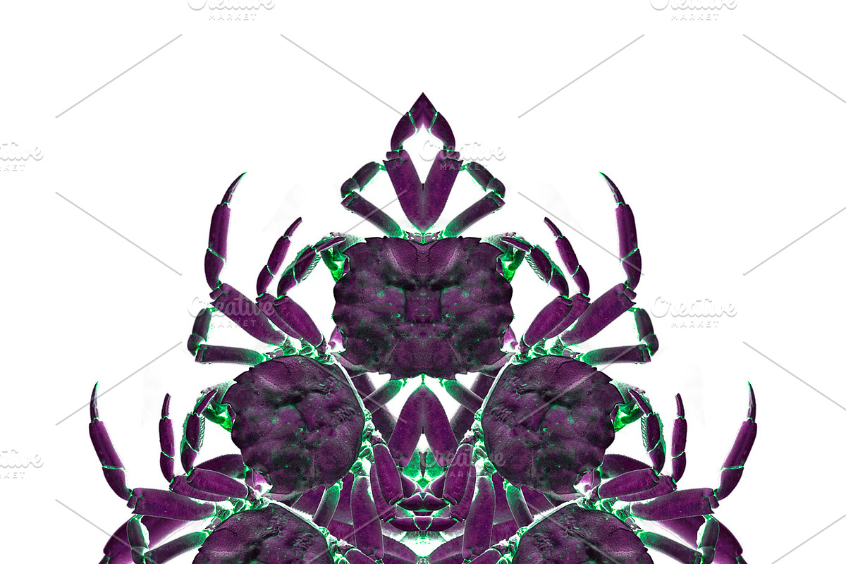 Crab Collage Ornate Graphic in Illustrations - product preview 8