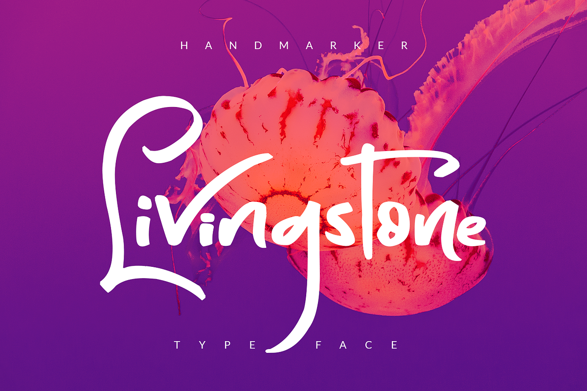 Livingstone in Script Fonts - product preview 8