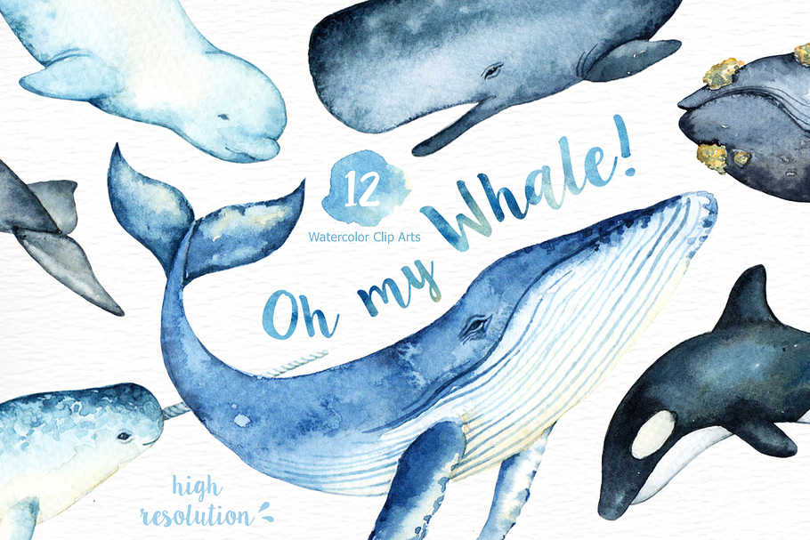 Oh My Whale! Watercolor Clip Arts in Illustrations - product preview 8