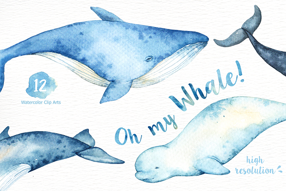 Oh My Whale! Watercolor Clip Arts in Illustrations - product preview 1