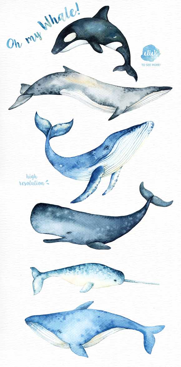 Oh My Whale! Watercolor Clip Arts in Illustrations - product preview 2