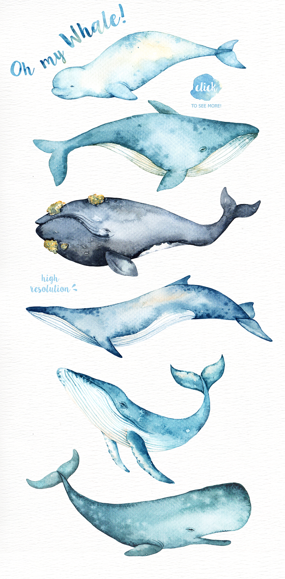 Oh My Whale! Watercolor Clip Arts in Illustrations - product preview 3