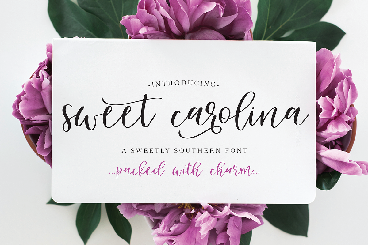 Sweet Carolina  in Script Fonts - product preview 8