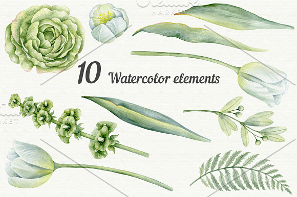 Wedding watercolor green flowers in Illustrations - product preview 2