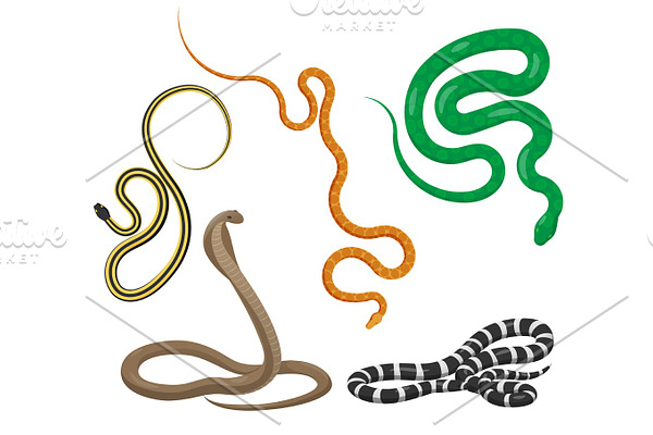 Slither Snakes Top View Vector Icons Set