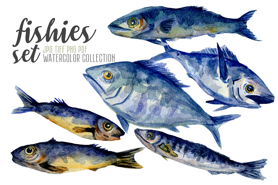 Watercolor fishes set hand painted