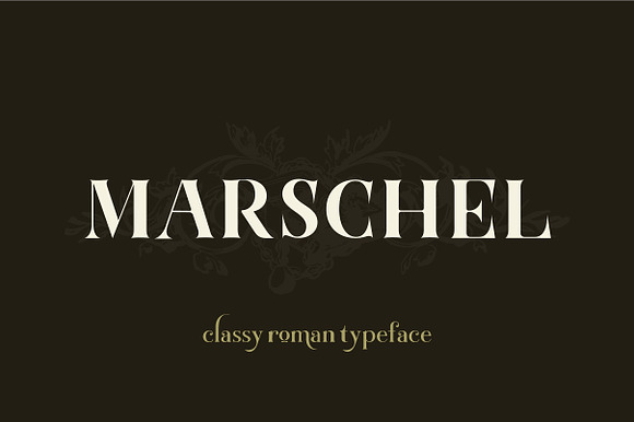 Marschel Complete Family in Display Fonts - product preview 16