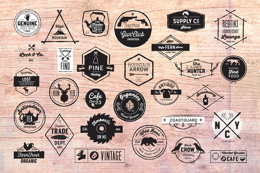 30 Vintage Logos + Design Elements in Vintage Icons - product preview 8